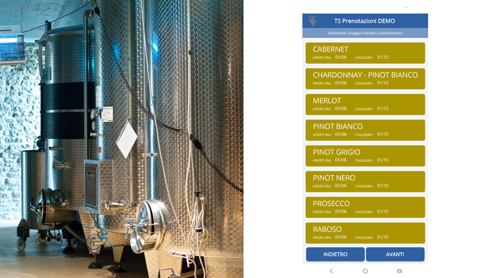 Gestionali personalizzati Sistem@64 Cantine e Aziende Vinicole