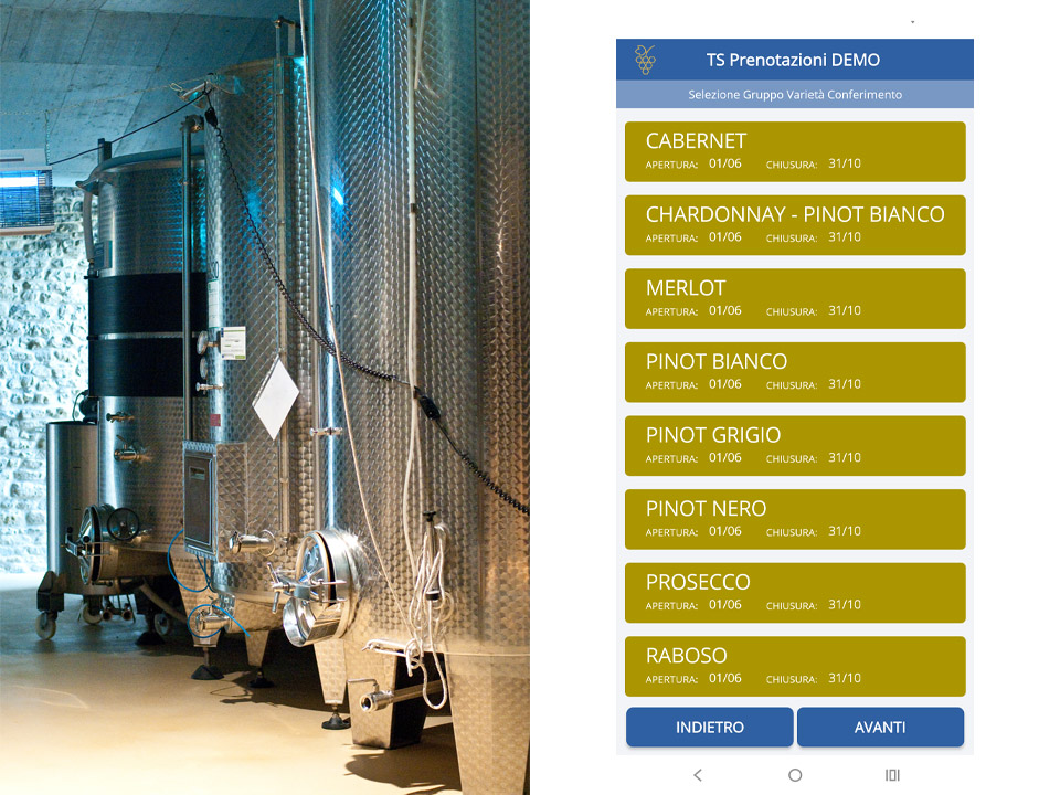 Gestionali personalizzati Sistem@64 Cantine e Aziende Vinicole
